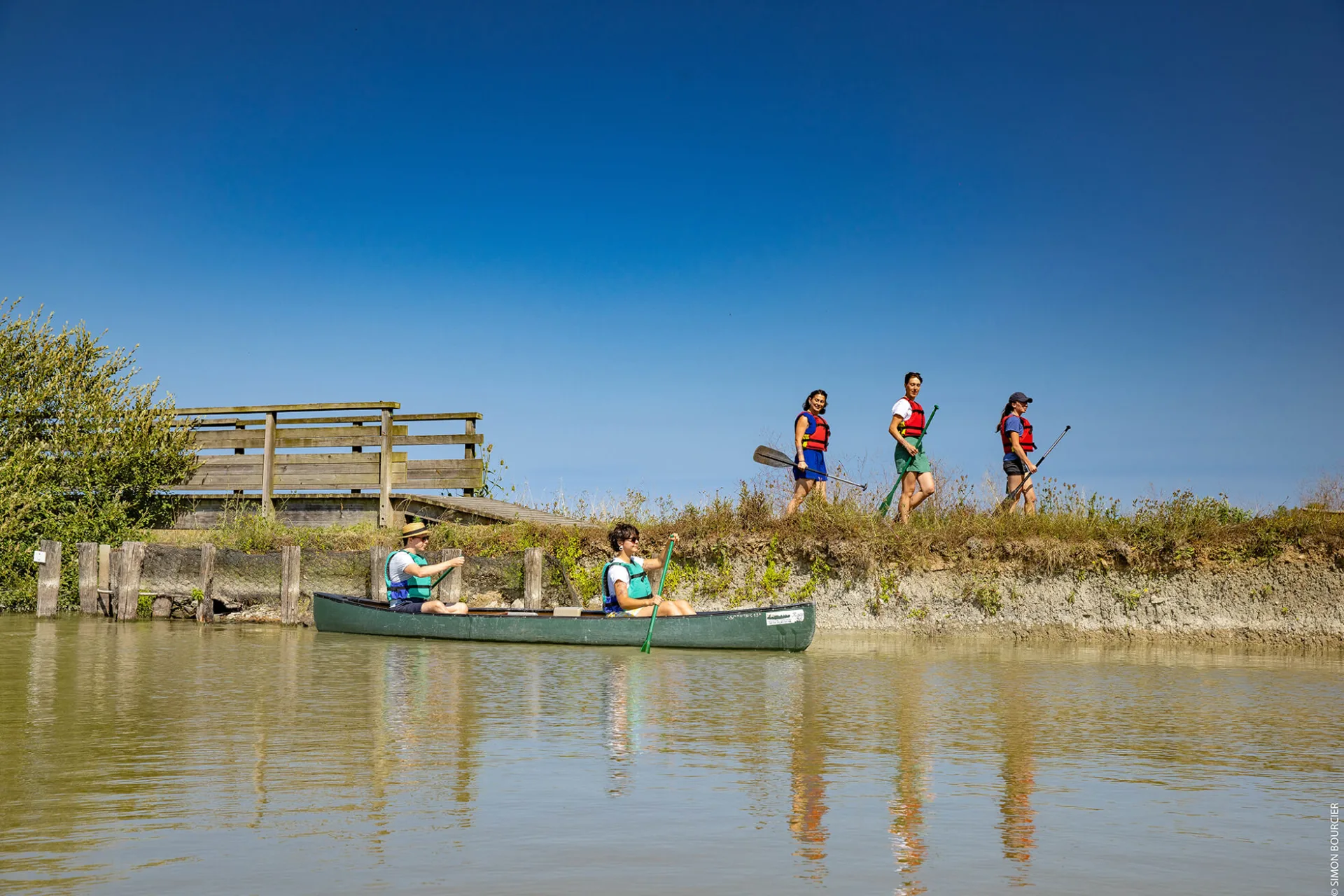 Walking in the marsh