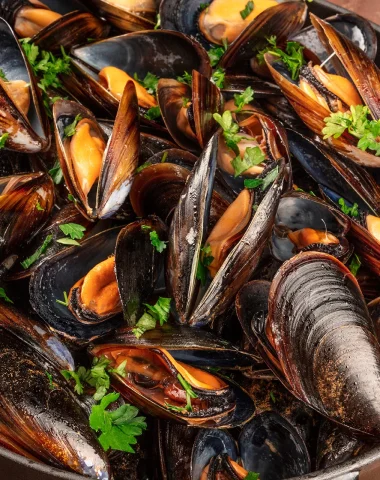 Moules maraîchines