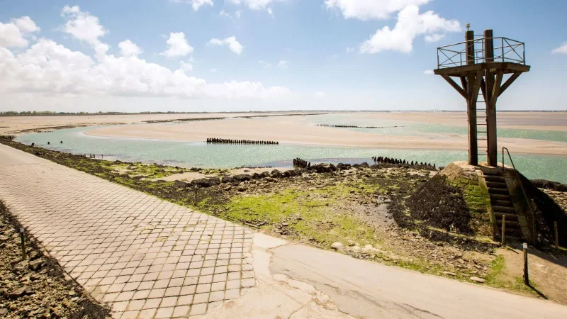 Les secrets du Gois