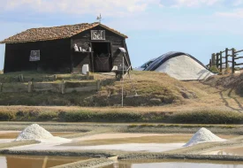 Buying salt in the heart of the marsh