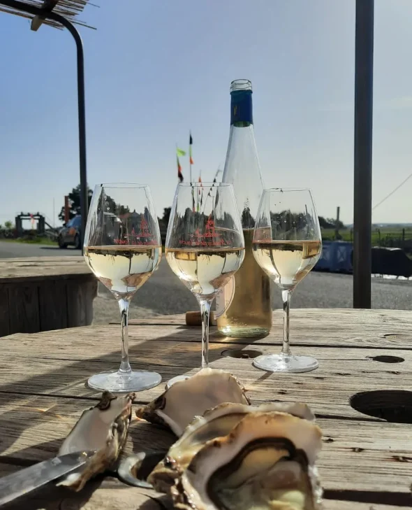 Tasting oysters "à la cabane