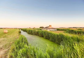 Bivouac in the marsh